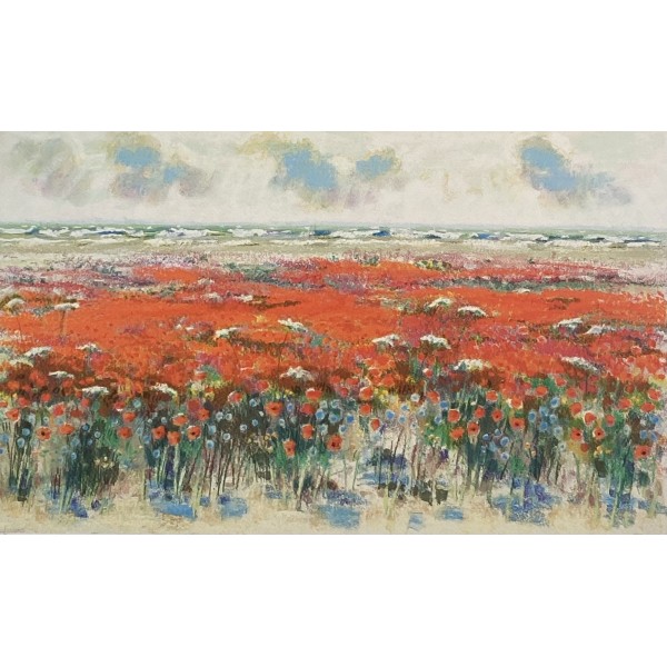 Papaveri in primavera