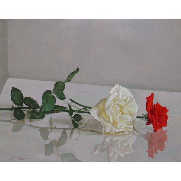 Bianca, rossa e verde