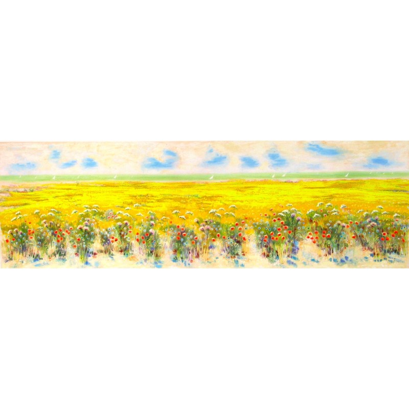 Grande Campo in fiore