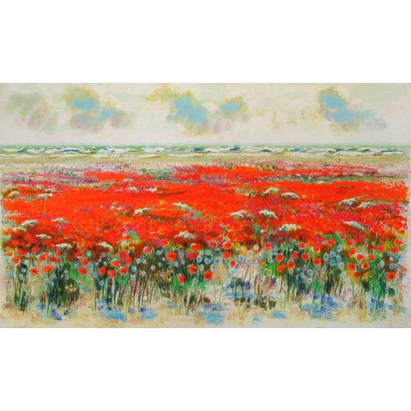 Papaveri in primavera