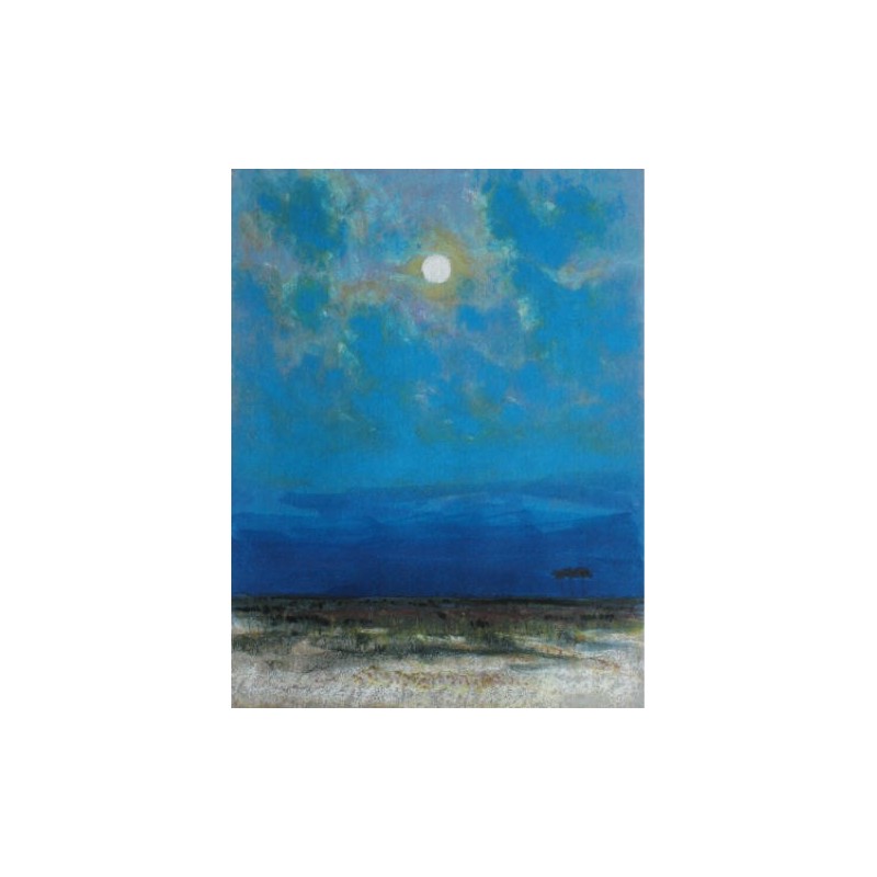 Chiaro di luna, 2003