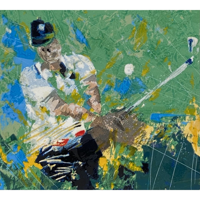 Francesco Toraldo - Tiger Woods 23x25 | Serigrafia Polimaterica Originale