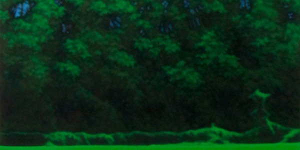 Lorenza Boisi | Valentina d'Amaro